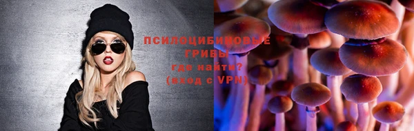 СК Ладушкин
