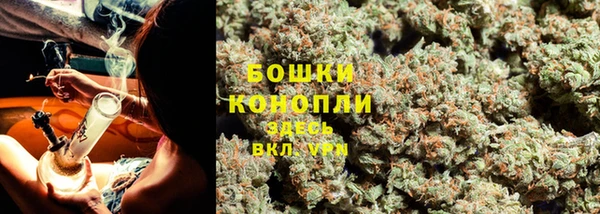 СК Ладушкин