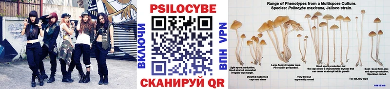 Галлюциногенные грибы мухоморы  Курчатов 