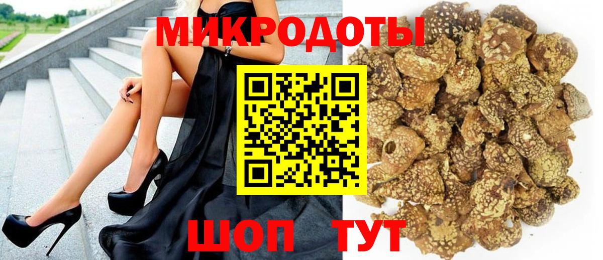 Псилоцибиновые грибы Psilocybine cubensis Курчатов