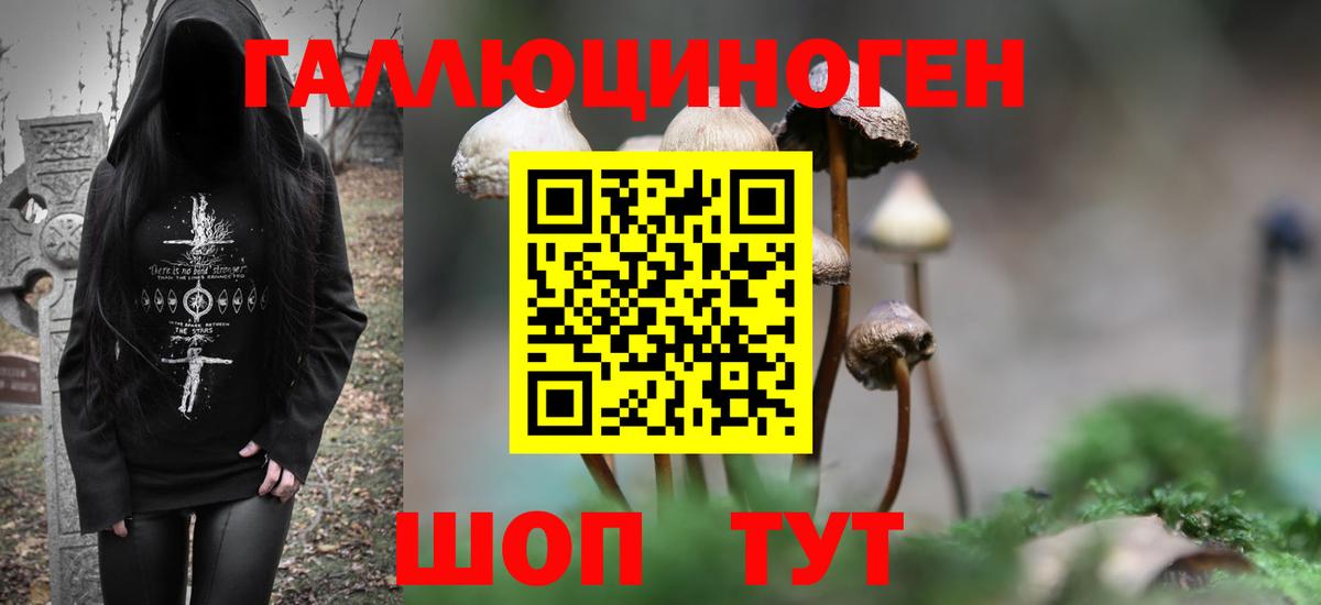 Псилоцибиновые грибы GOLDEN TEACHER  Галлюциногенные грибы Psilocybine cubensis  Вход с VPN  Курчатов 